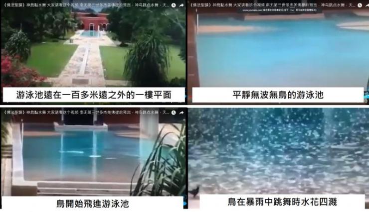 神鳥暴雨中水上獻舞　H.H.第三世多杰羌佛預言成真 新聞報導