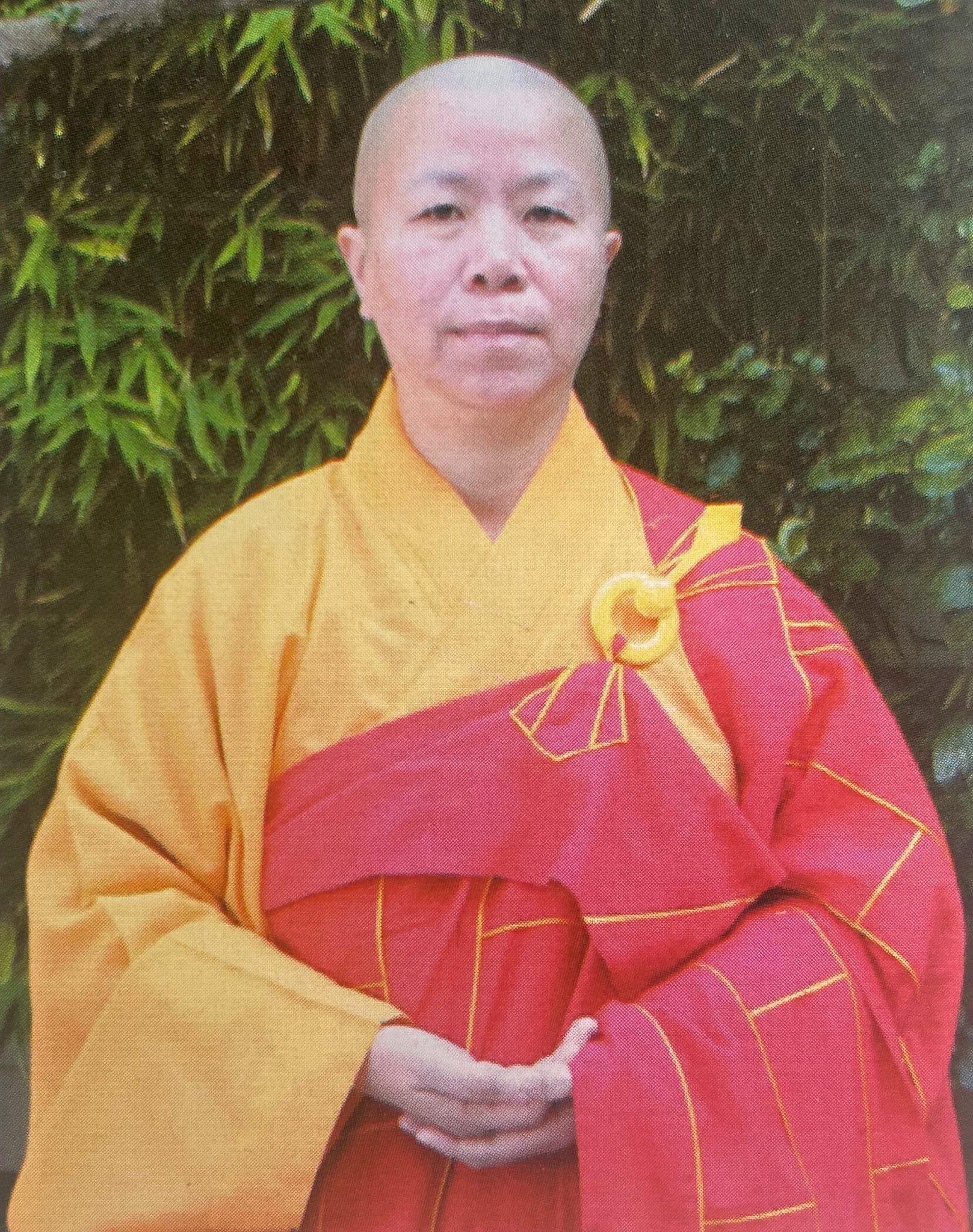 若慧孺尊