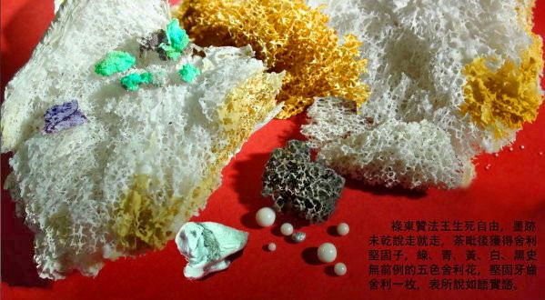 祿東贊法王生死自由，墨跡未乾說走就走，荼毗後獲得舍利堅固子，綠、青、黄、白、黑史無前例的五色舍利花，堅固牙齒舍利一枚，表所說如語實語。